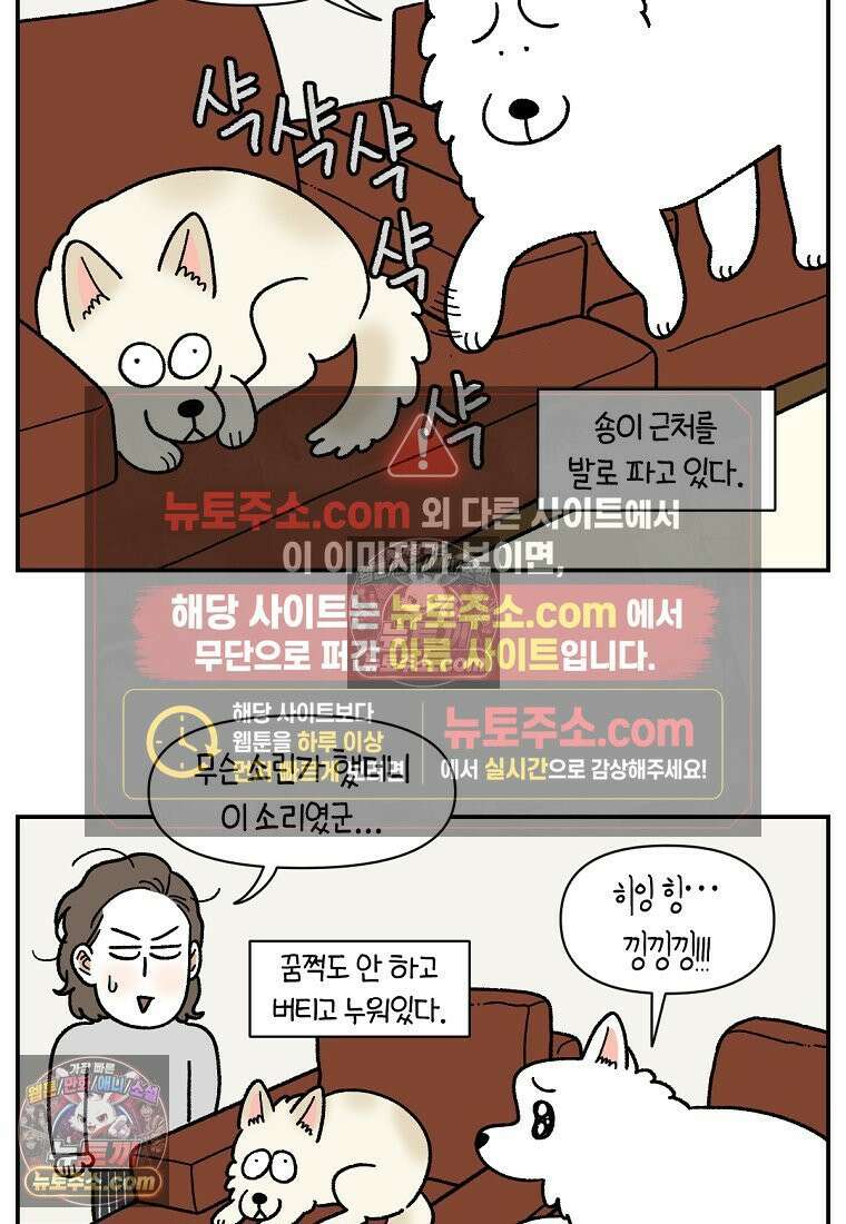 극한견주 시즌2 114화 숑이에게 빼앗기기 12