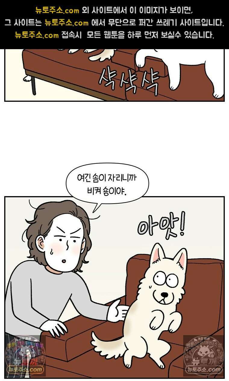 극한견주 시즌2 114화 숑이에게 빼앗기기 13