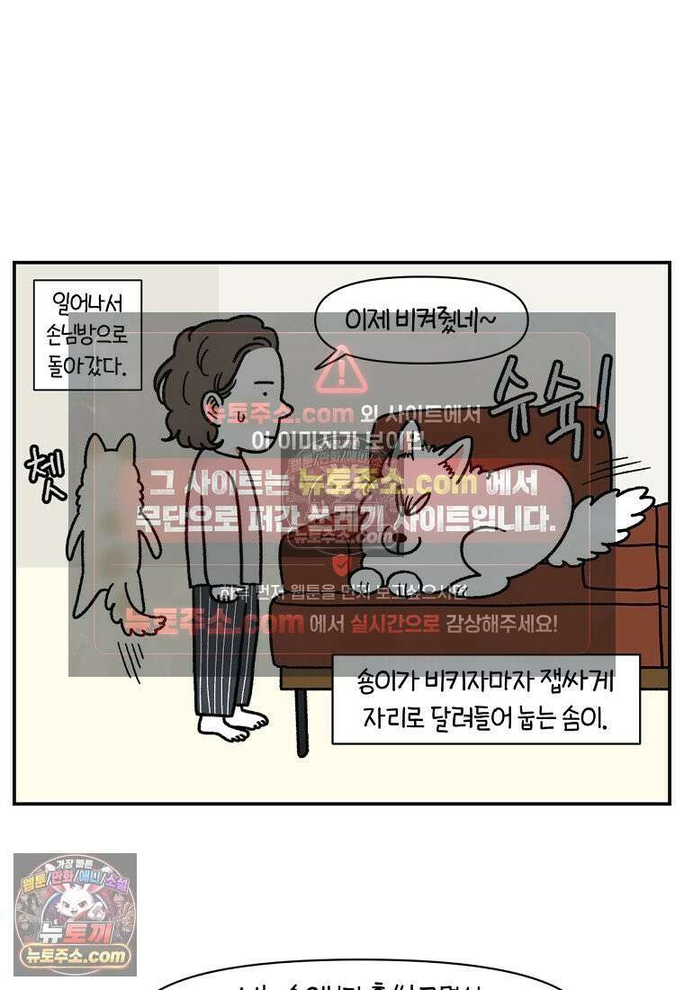 극한견주 시즌2 114화 숑이에게 빼앗기기 14