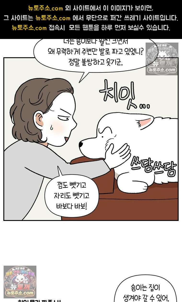 극한견주 시즌2 114화 숑이에게 빼앗기기 15