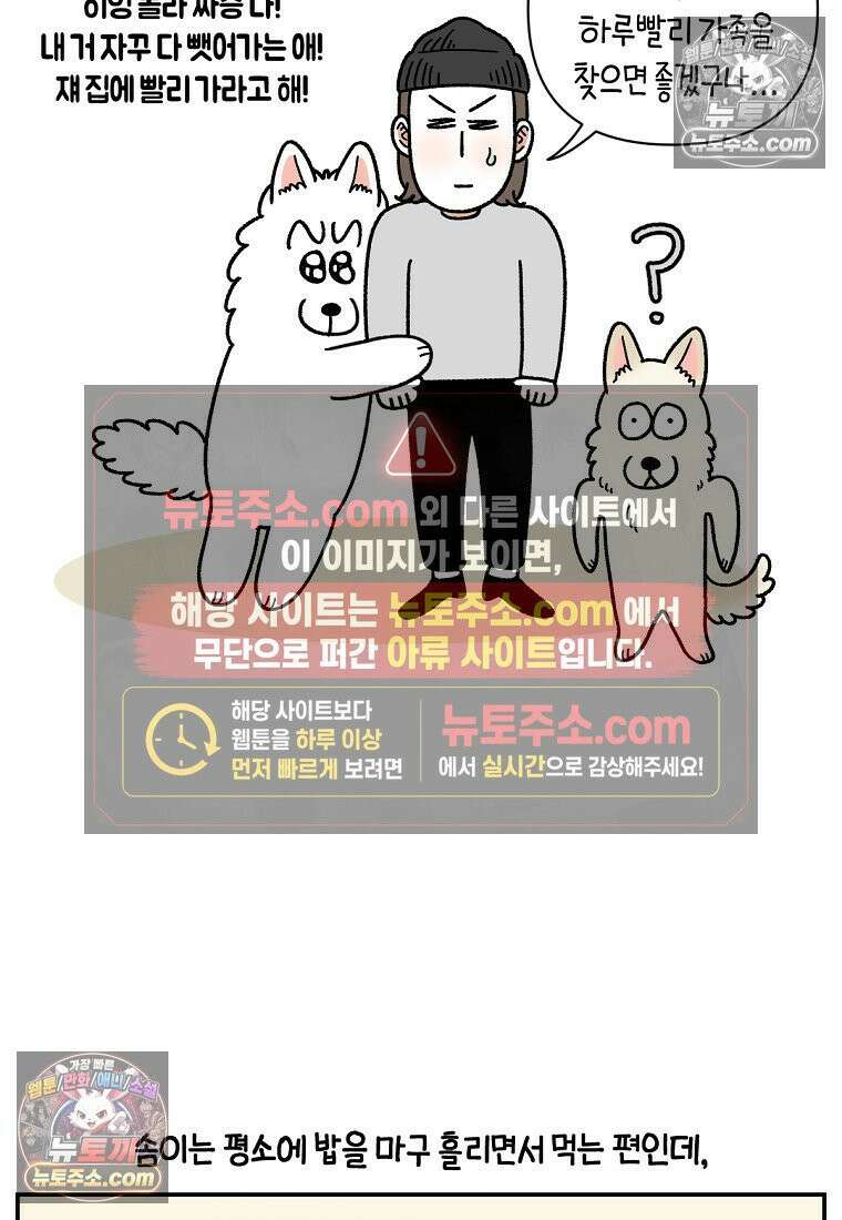 극한견주 시즌2 114화 숑이에게 빼앗기기 16
