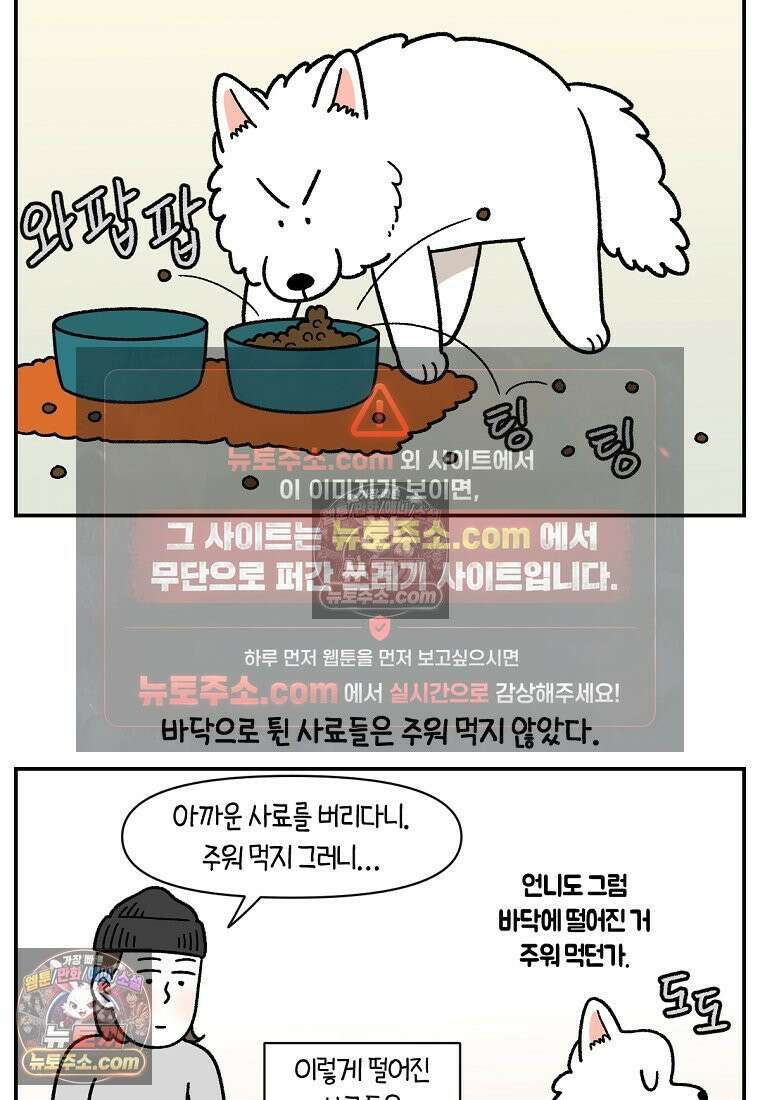 극한견주 시즌2 114화 숑이에게 빼앗기기 17