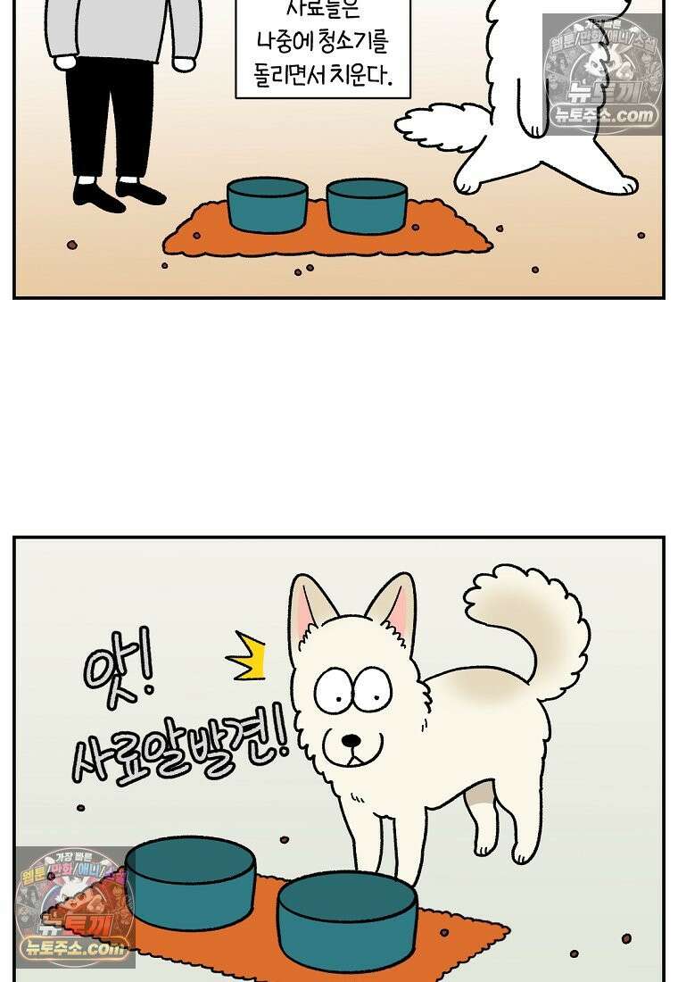 극한견주 시즌2 114화 숑이에게 빼앗기기 18