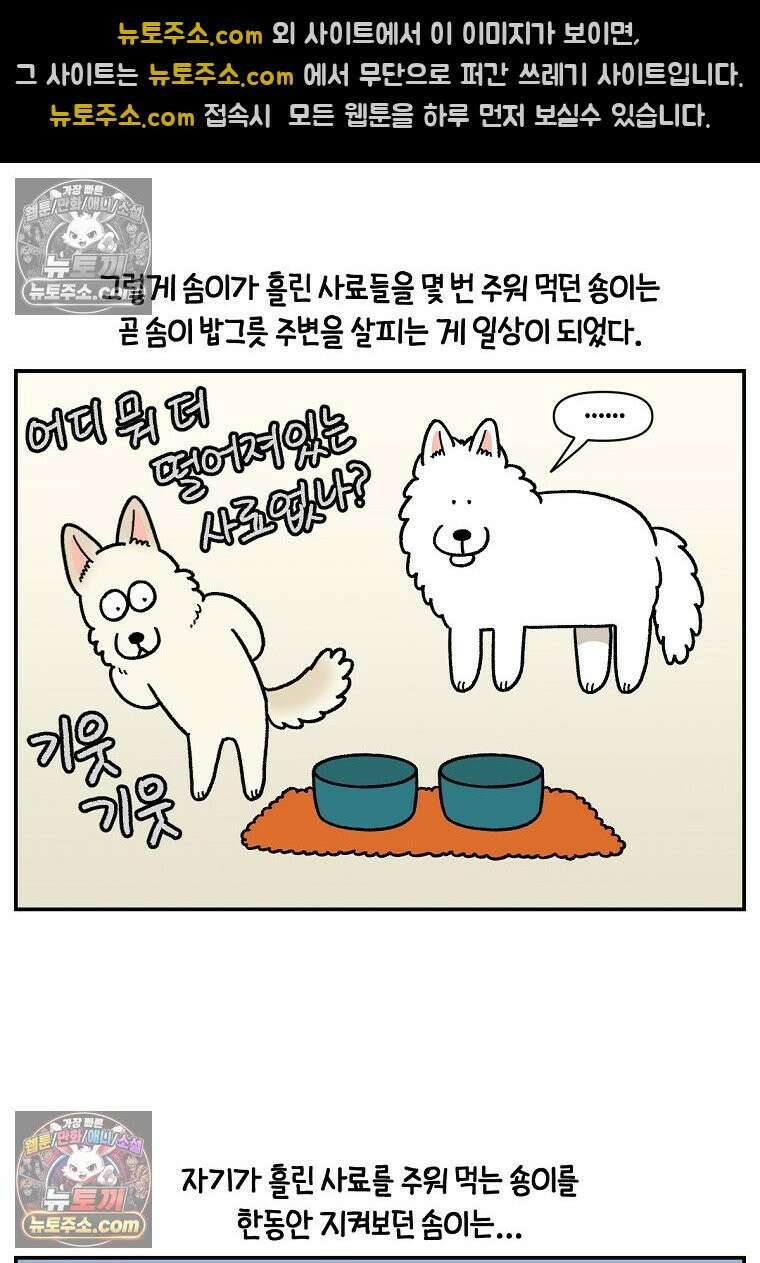 극한견주 시즌2 114화 숑이에게 빼앗기기 20