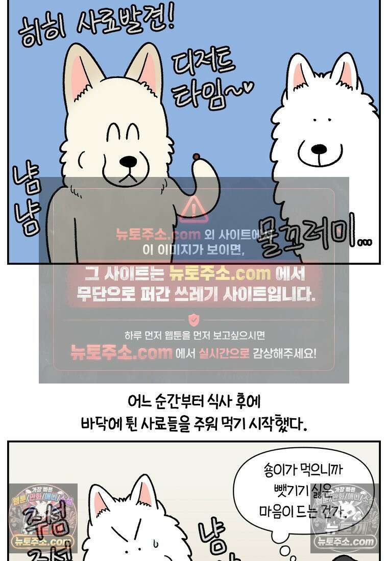 극한견주 시즌2 114화 숑이에게 빼앗기기 21