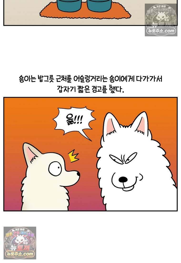 극한견주 시즌2 114화 숑이에게 빼앗기기 23