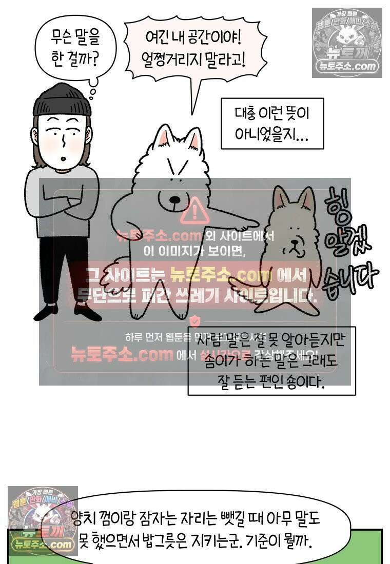 극한견주 시즌2 114화 숑이에게 빼앗기기 24