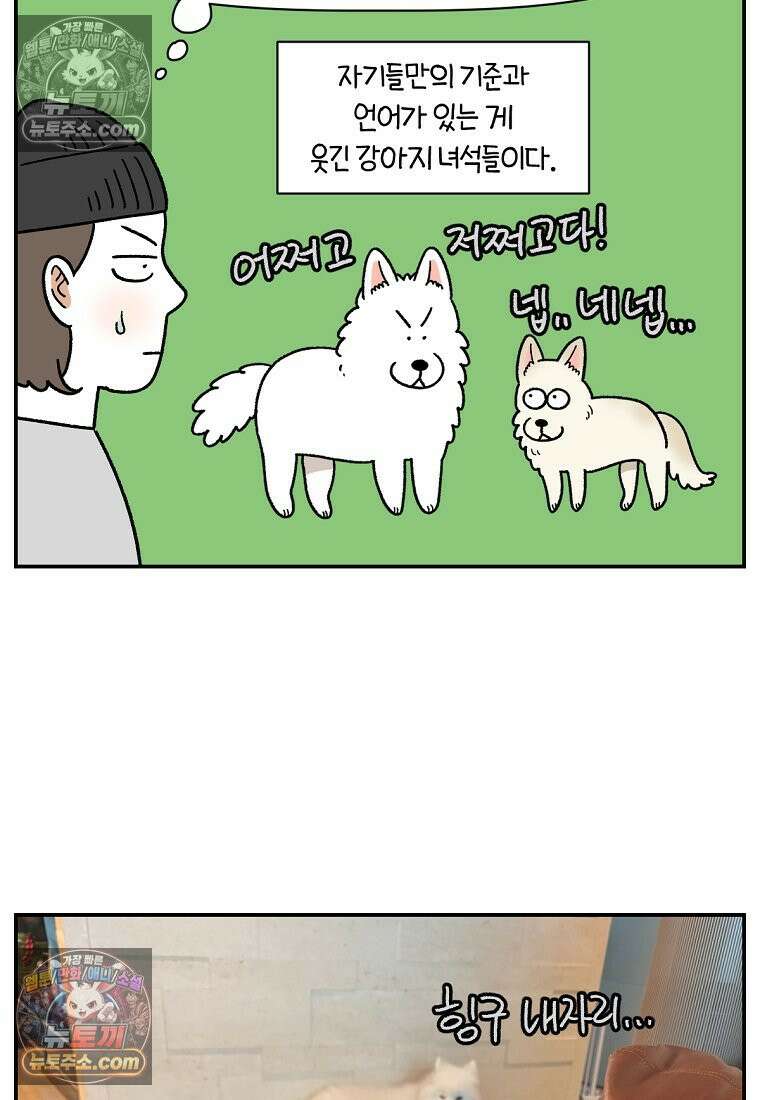 극한견주 시즌2 114화 숑이에게 빼앗기기 25
