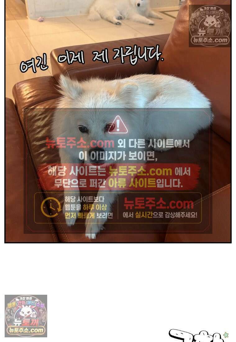 극한견주 시즌2 114화 숑이에게 빼앗기기 26