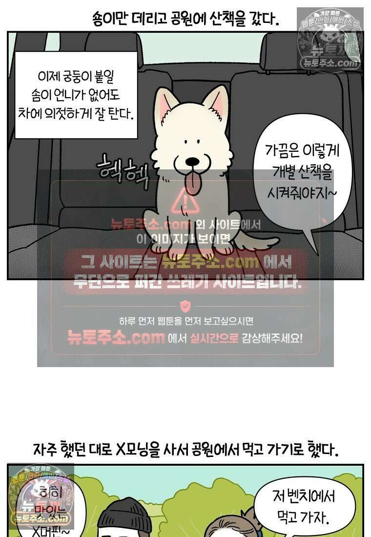 극한견주 시즌2 124화 몰래 빵 먹기 2