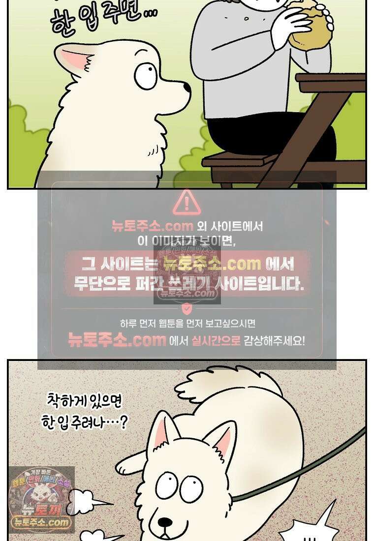 극한견주 시즌2 124화 몰래 빵 먹기 6