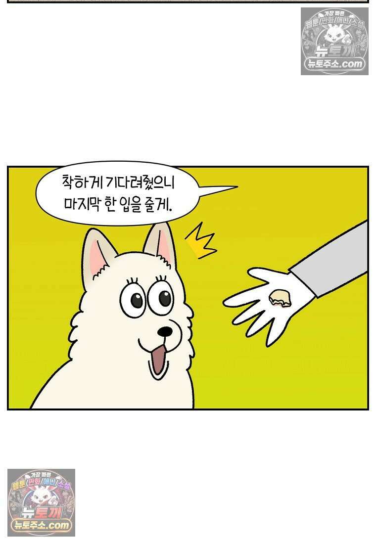 극한견주 시즌2 124화 몰래 빵 먹기 8
