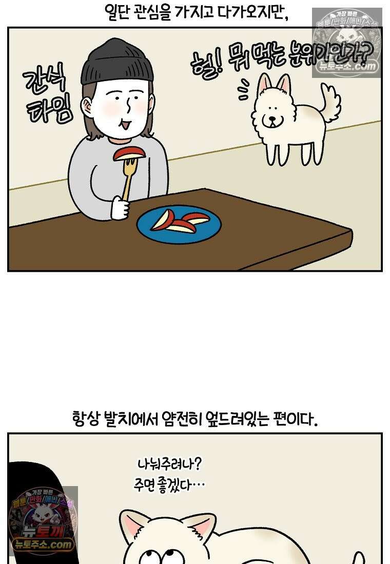극한견주 시즌2 124화 몰래 빵 먹기 10