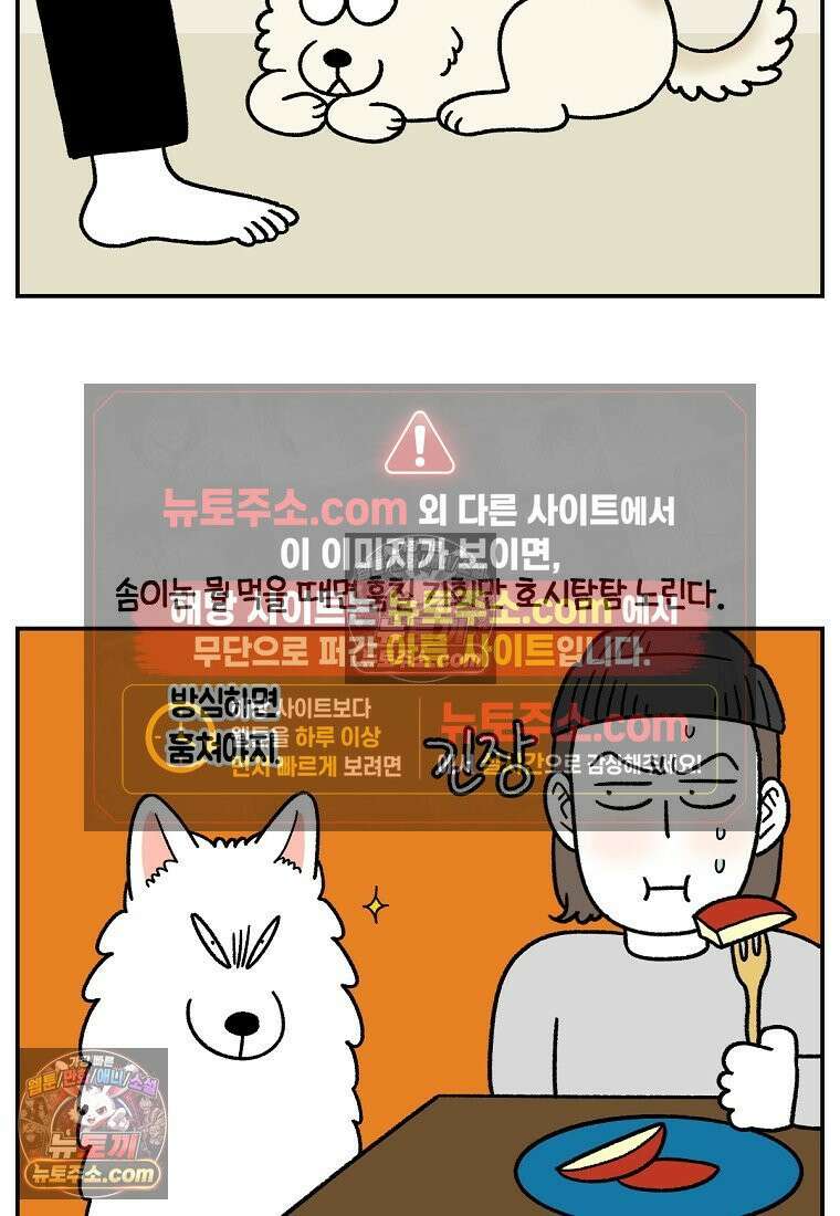 극한견주 시즌2 124화 몰래 빵 먹기 11