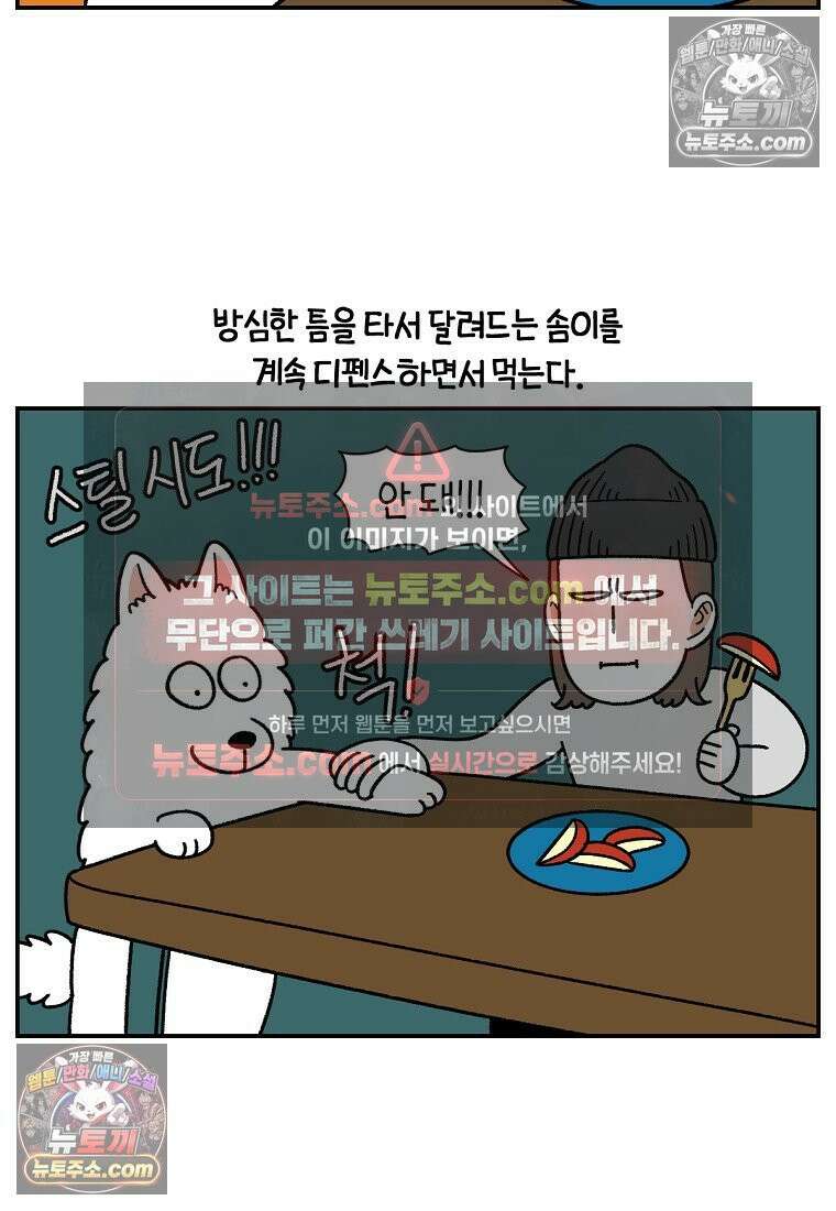 극한견주 시즌2 124화 몰래 빵 먹기 12