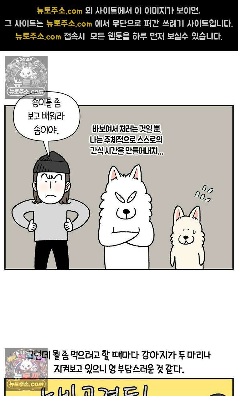 극한견주 시즌2 124화 몰래 빵 먹기 13