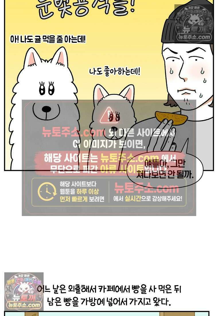극한견주 시즌2 124화 몰래 빵 먹기 14