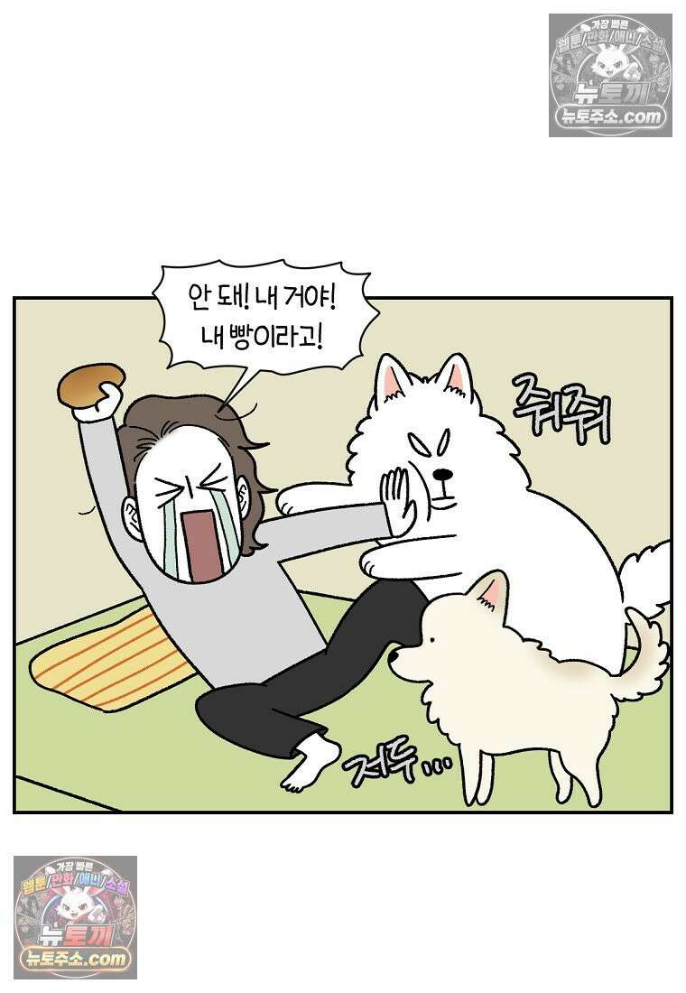 극한견주 시즌2 124화 몰래 빵 먹기 23