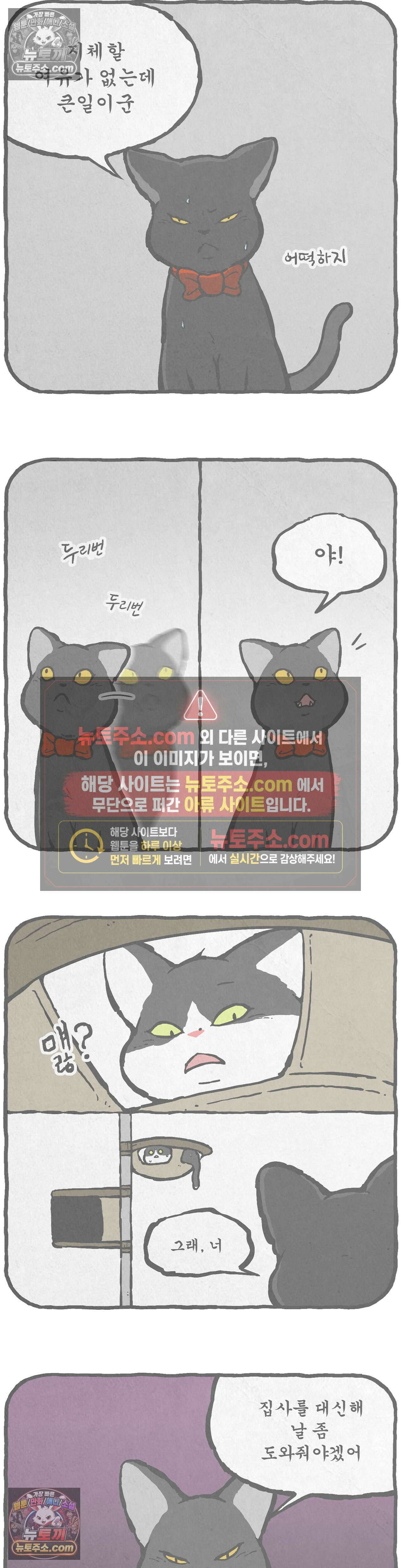 고로애옳 6화 2