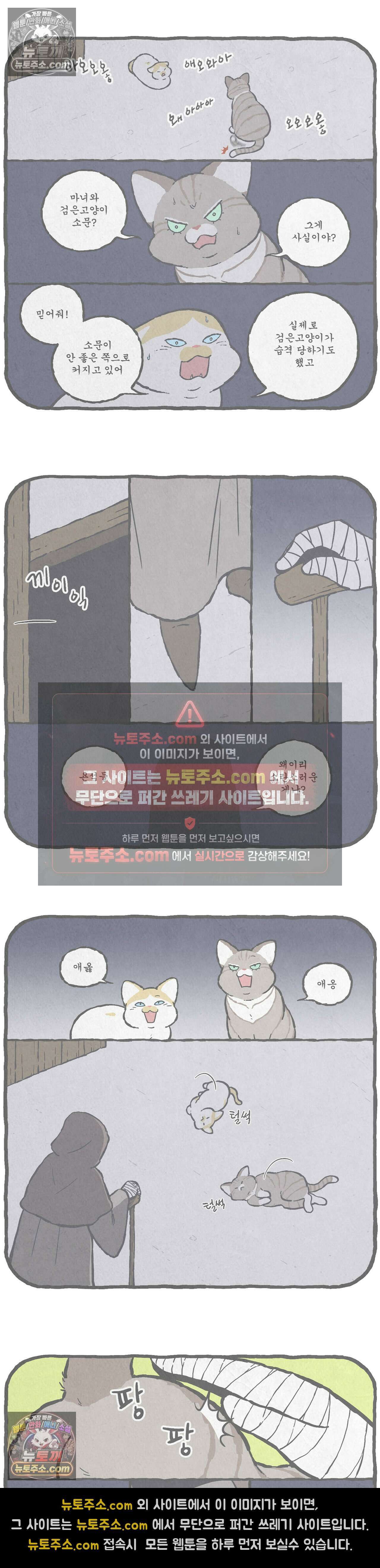 고로애옳 13화 2