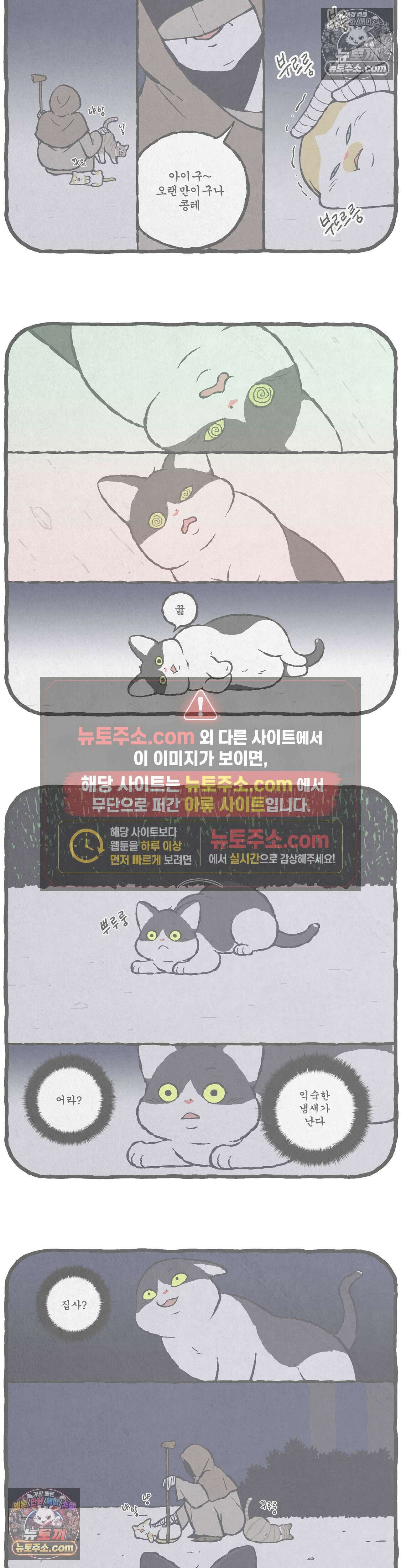 고로애옳 13화 3
