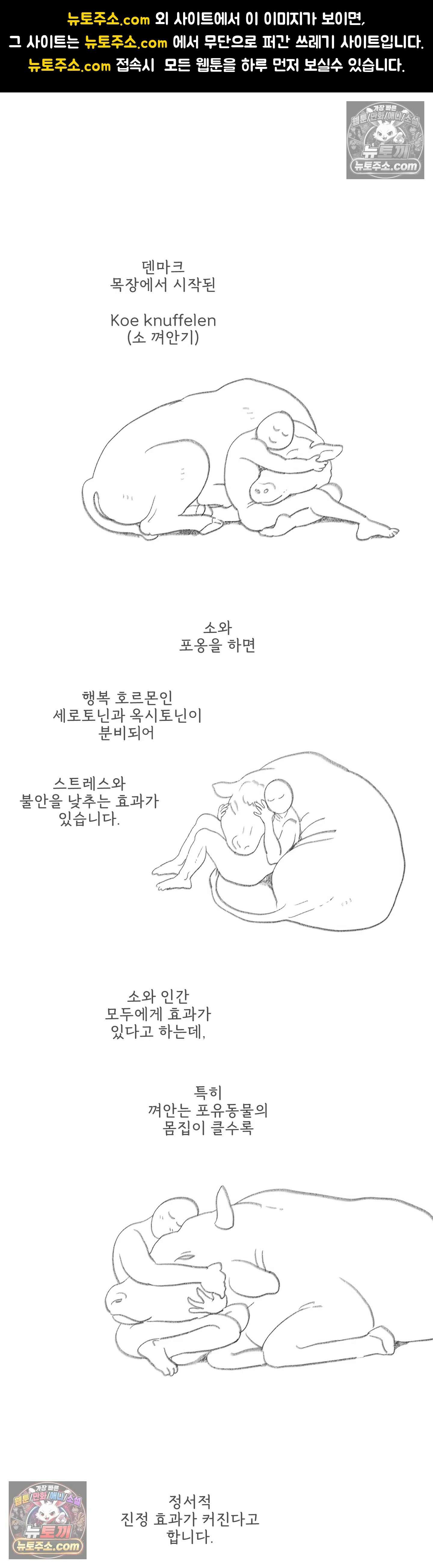 몸만 원해 두쫀쿠 1