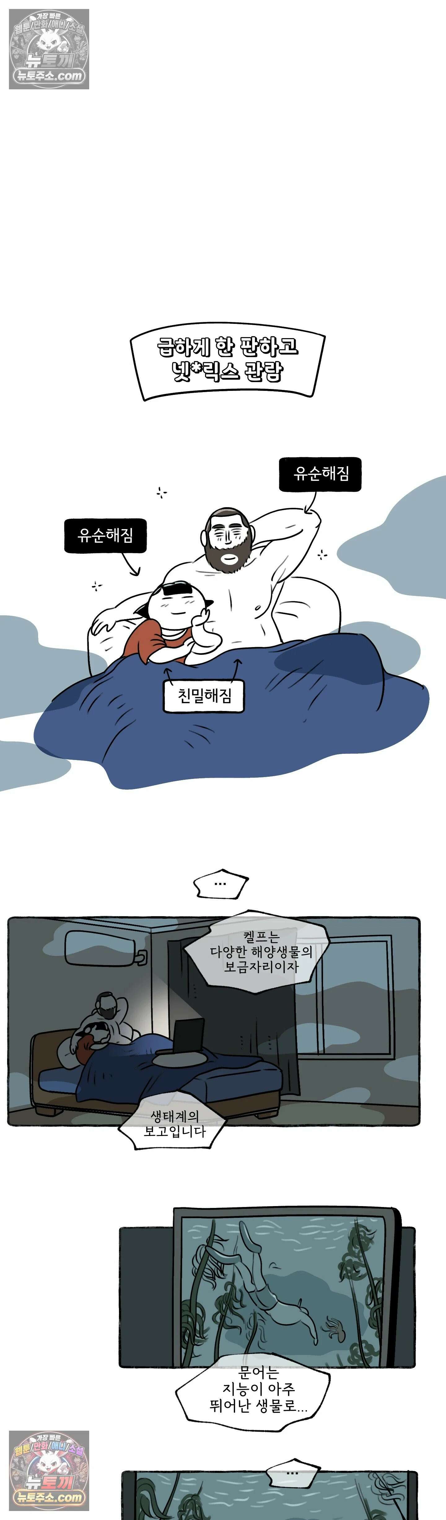 몸만 원해 두쫀쿠 12