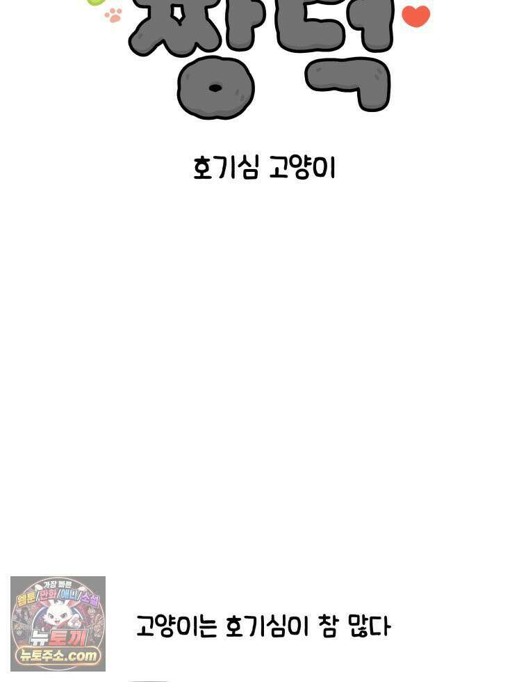 먼지 덩어리 짱덕 3． 호기심 고양이 2