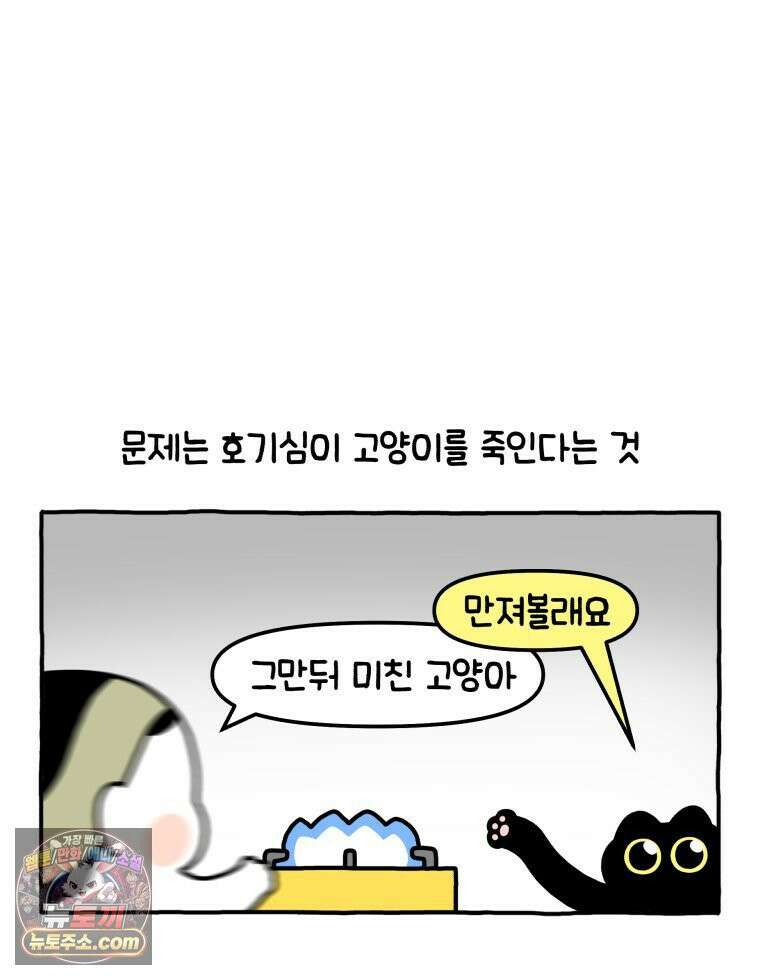 먼지 덩어리 짱덕 3． 호기심 고양이 5