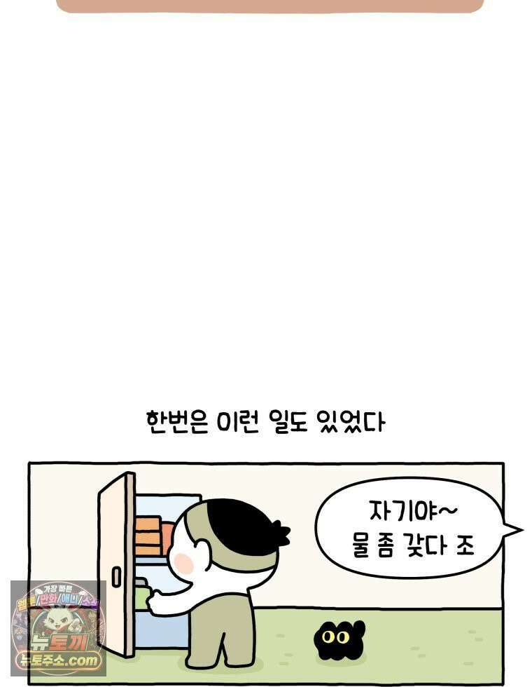 먼지 덩어리 짱덕 3． 호기심 고양이 7