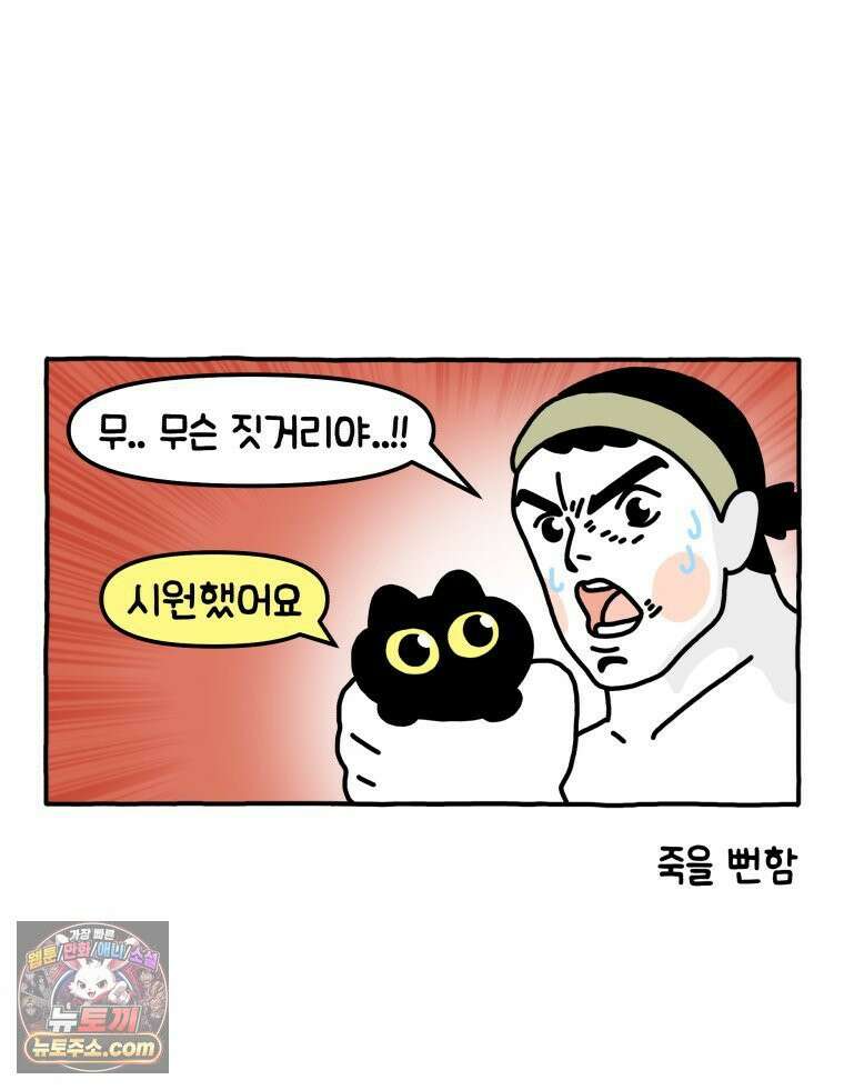 먼지 덩어리 짱덕 3． 호기심 고양이 12