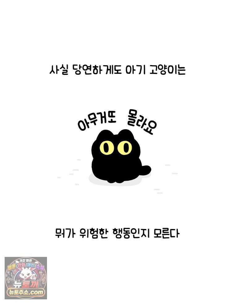 먼지 덩어리 짱덕 3． 호기심 고양이 13