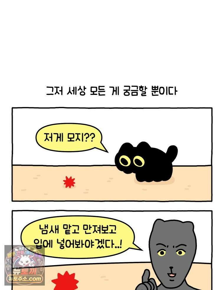 먼지 덩어리 짱덕 3． 호기심 고양이 14