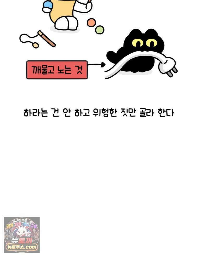 먼지 덩어리 짱덕 3． 호기심 고양이 16