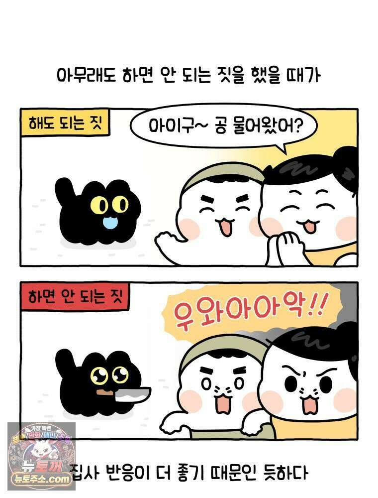 먼지 덩어리 짱덕 3． 호기심 고양이 17