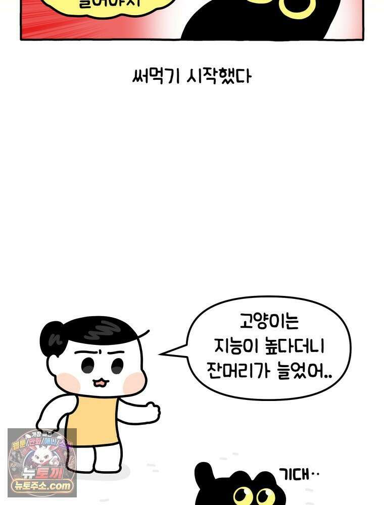 먼지 덩어리 짱덕 3． 호기심 고양이 19