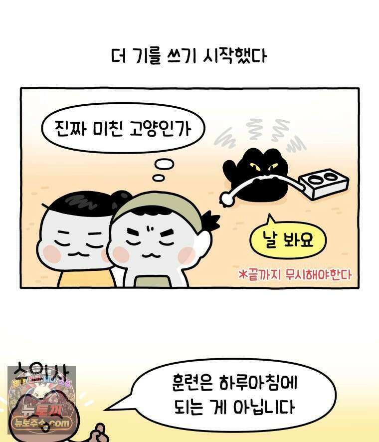 먼지 덩어리 짱덕 3． 호기심 고양이 35