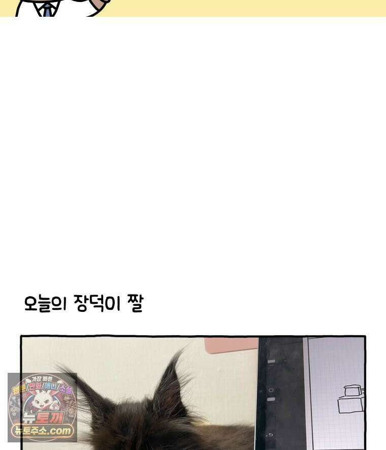 먼지 덩어리 짱덕 3． 호기심 고양이 36