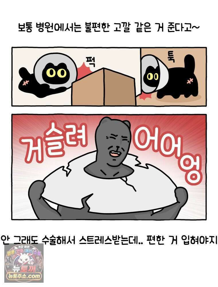 먼지 덩어리 짱덕 11． 환묘복을 입어요 13