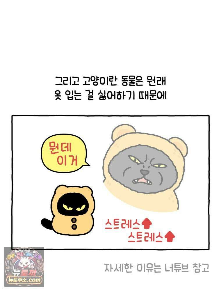 먼지 덩어리 짱덕 11． 환묘복을 입어요 14