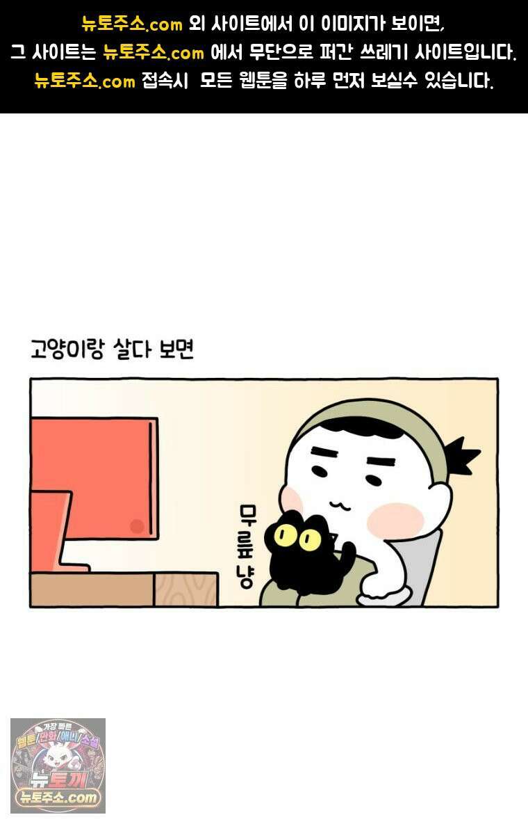 먼지 덩어리 짱덕 26． 리액션 고양이 1