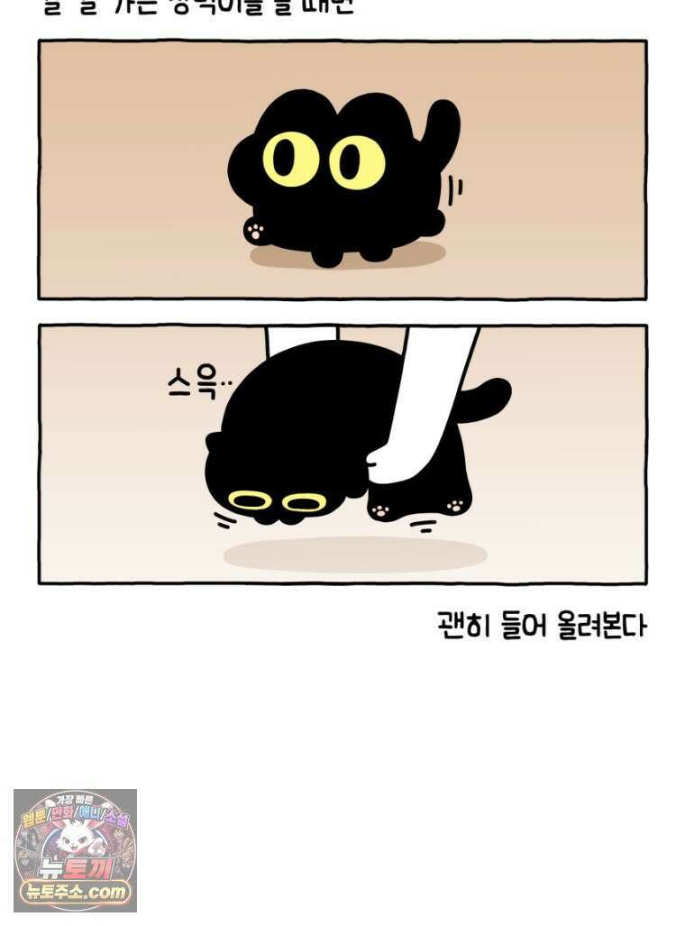 먼지 덩어리 짱덕 26． 리액션 고양이 7