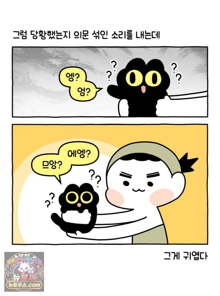 먼지 덩어리 짱덕 26． 리액션 고양이 8