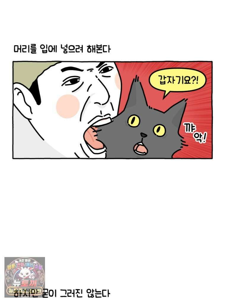 먼지 덩어리 짱덕 26． 리액션 고양이 10
