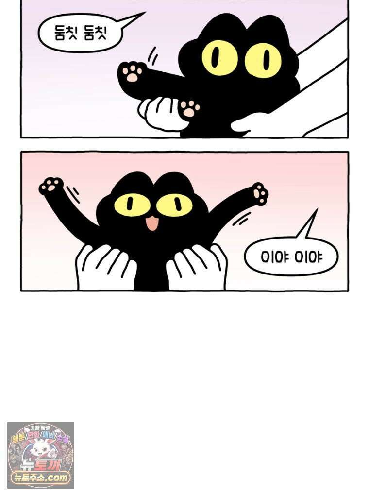 먼지 덩어리 짱덕 26． 리액션 고양이 13