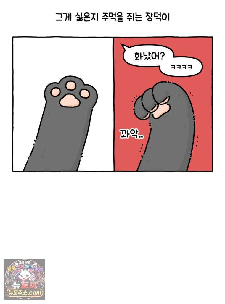 먼지 덩어리 짱덕 26． 리액션 고양이 14