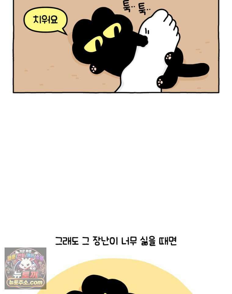 먼지 덩어리 짱덕 26． 리액션 고양이 17