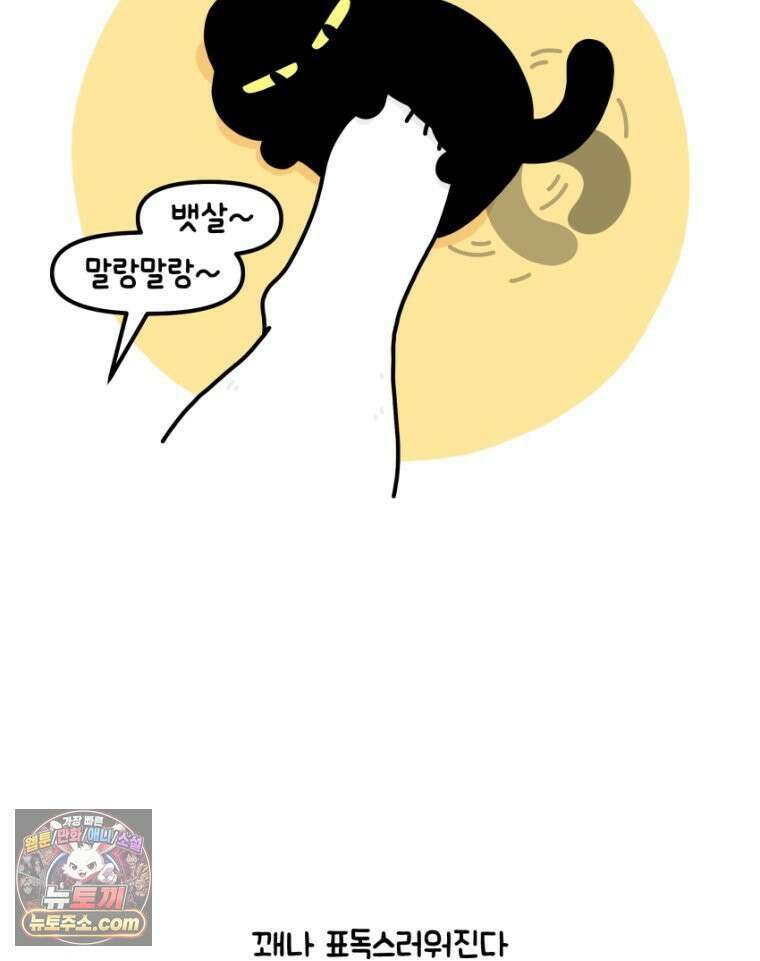 먼지 덩어리 짱덕 26． 리액션 고양이 18