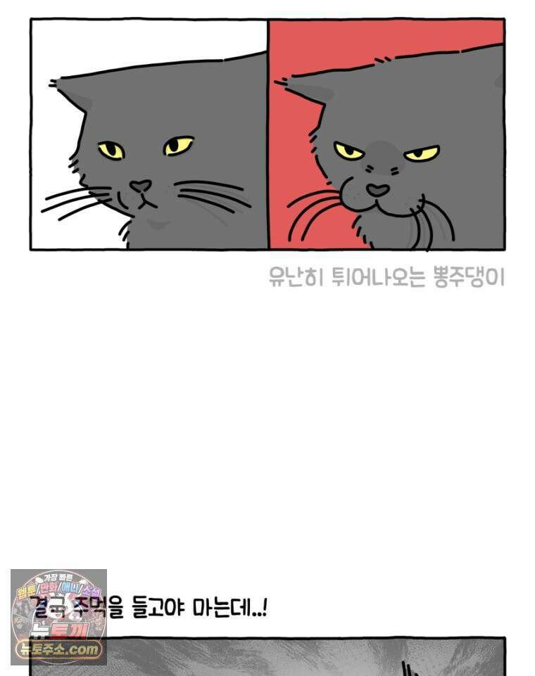 먼지 덩어리 짱덕 26． 리액션 고양이 19