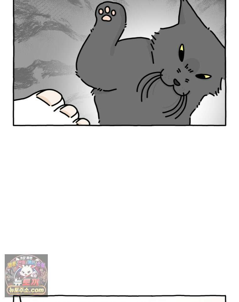 먼지 덩어리 짱덕 26． 리액션 고양이 20